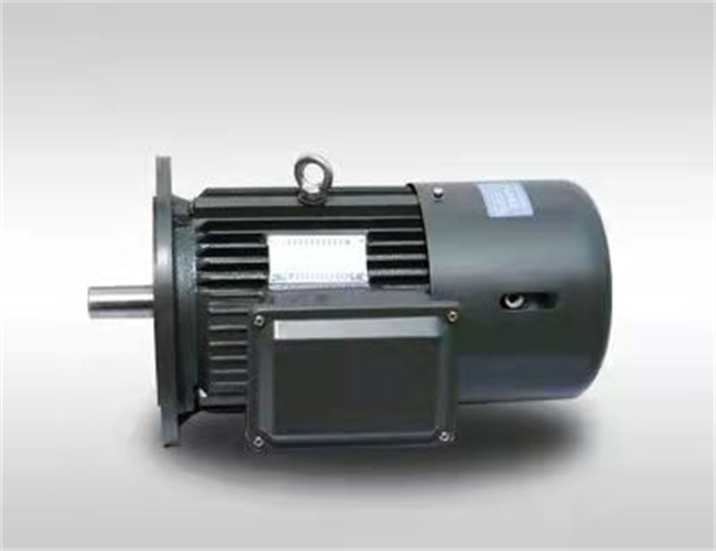 電磁制動(dòng)電機(jī)