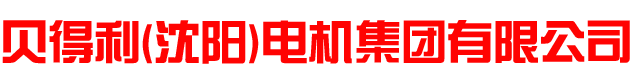 專(zhuān)注電機(jī)行業(yè)